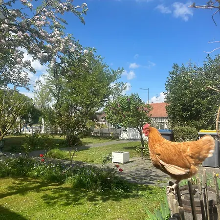 Havre De Paix Superbe 70m2 Au Calme, Proche Du Parlement Europeen Πανσιόν 4*