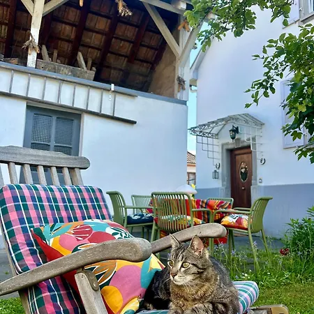 Havre De Paix Superbe 70m2 Au Calme, Proche Du Parlement Europeen Πανσιόν Στρασβούργο