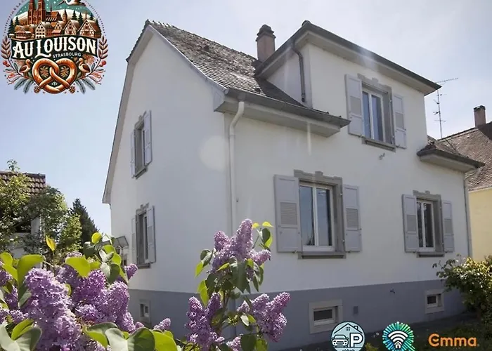 Havre De Paix Superbe 70m2 Au Calme, Proche Du Parlement Europeen Gasthuis Straatsburg