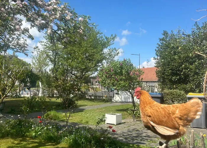 Havre De Paix Superbe 70m2 Au Calme, Proche Du Parlement Europeen Penzion 4*