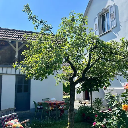 Guest house Havre De Paix Superbe 70m2 Au Calme, Proche Du Parlement Europeen